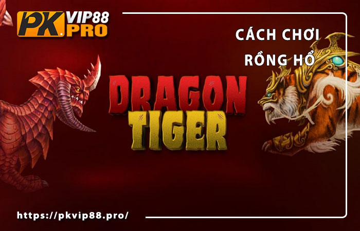 Cách chơi rồng hổ chi tiết